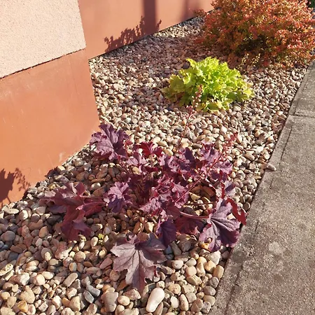 아파트 Bodza 귤러