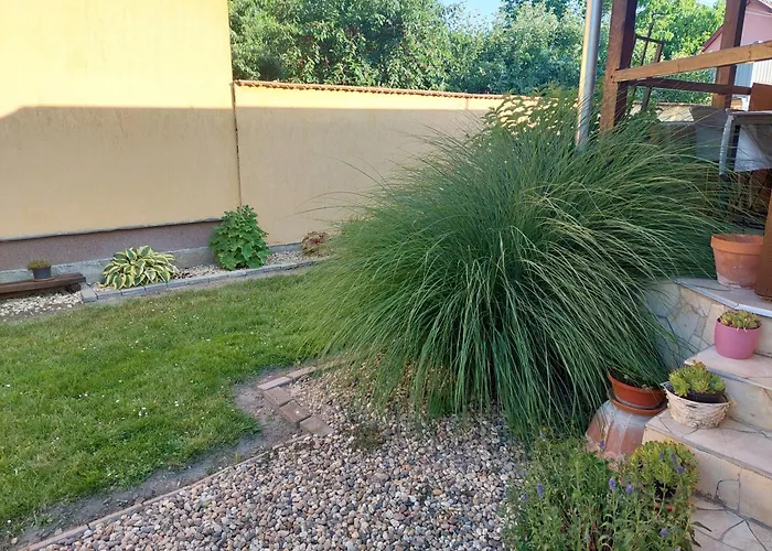 Apartment Bodza Gyula